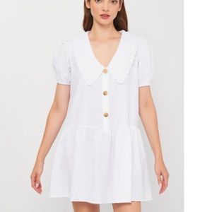 Zara Dotted Mesh Mini Dress